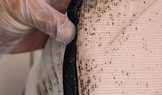 Photo de taches noires sur la literie