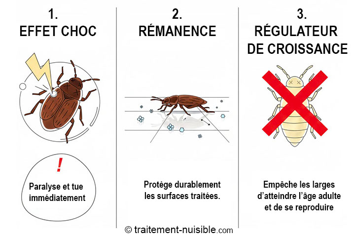 Schéma des 3 actions d'un traitement biocide professionnel