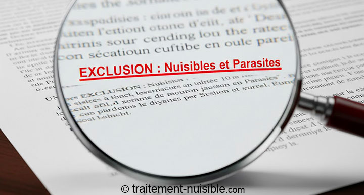 Clause d'exclusion des nuisibles dans un contrat d'assurance habitation