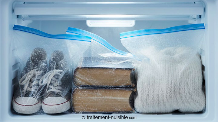 Exemple d'objets emballés dans un congélateur : livres, chaussures et vêtements